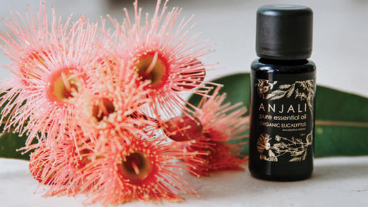 Anjali Pure Essential Oils In Store