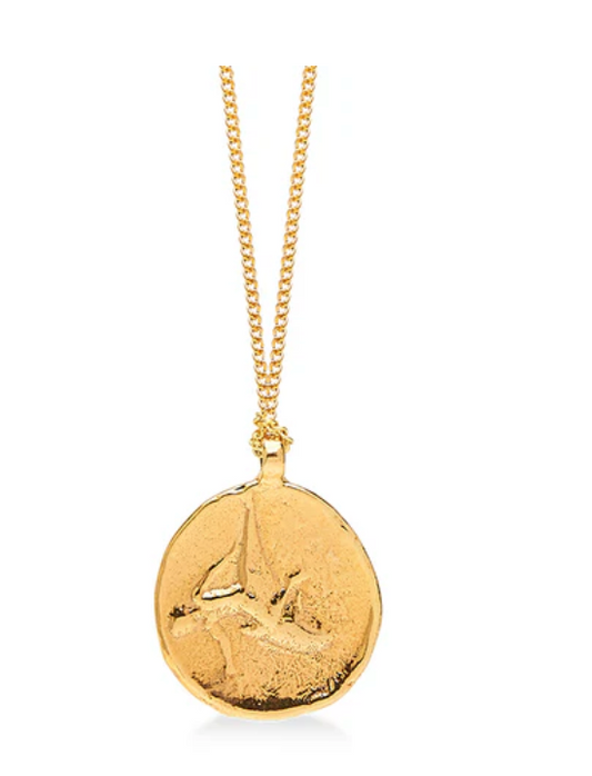 Ancient Taras Gold Coin Necklace