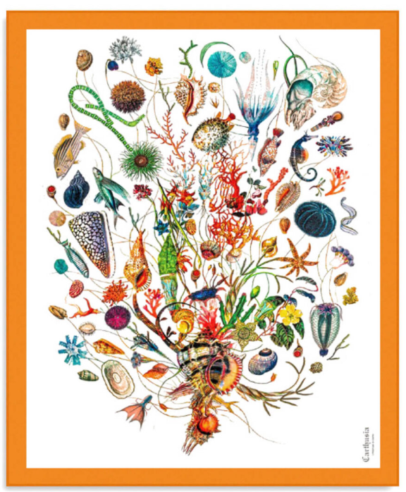 Carthusia Beach Sarong