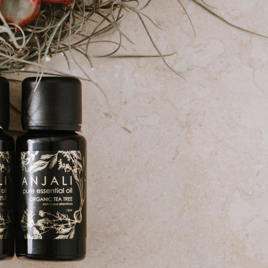 Anjali Tea Tree Oil - Hearth Co