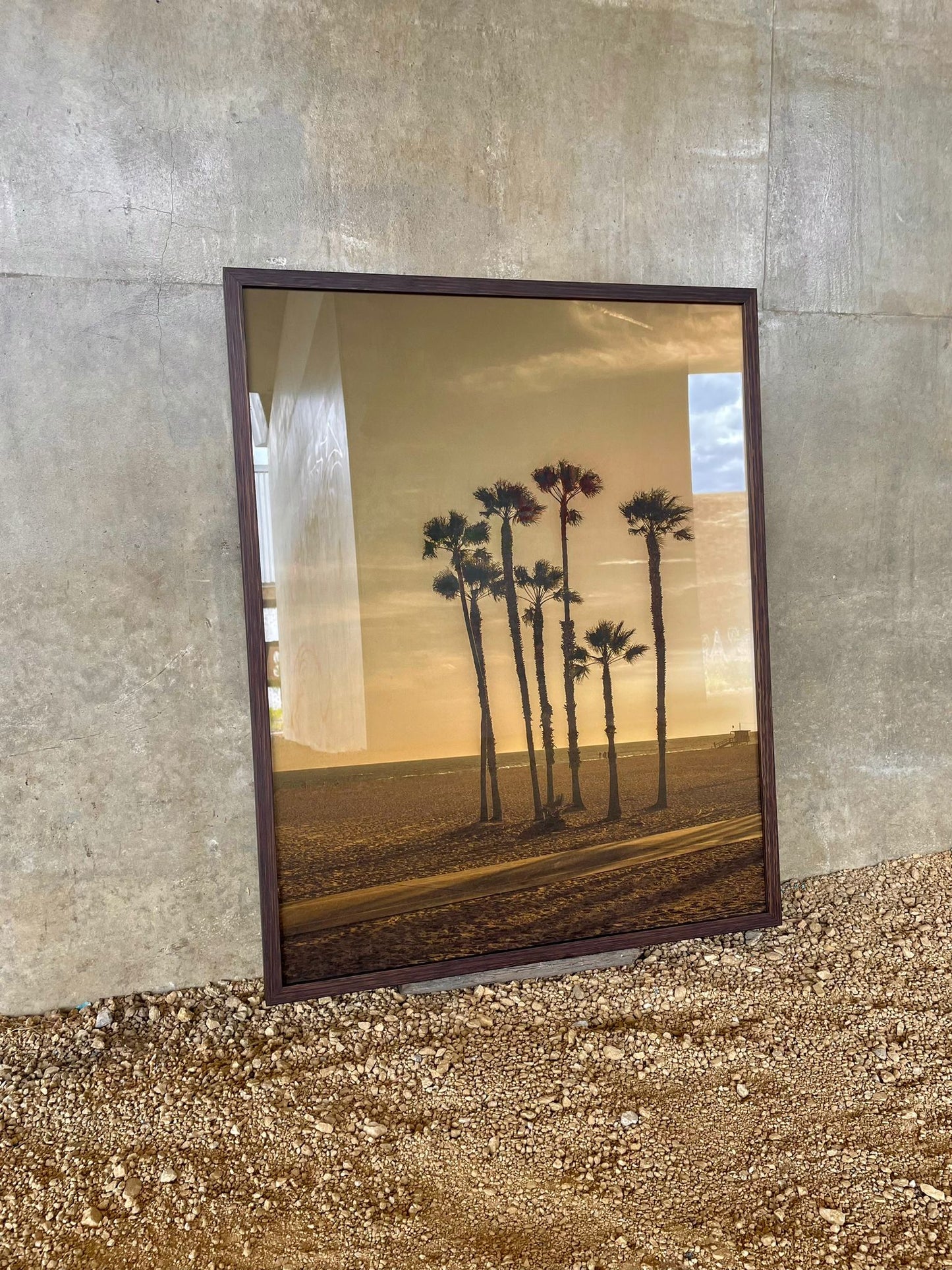 Limited Edition Photographic Print - The Palms (Maya Vidulich)